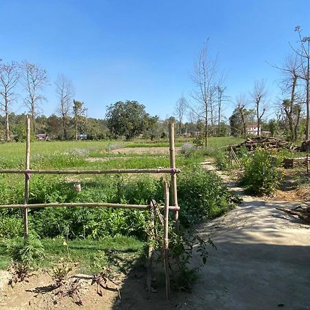 Nanu'S Bardiya Homestay Eksteriør bilde